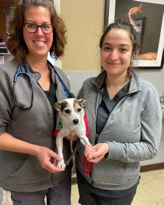 lehigh valley animal hospital tilghman